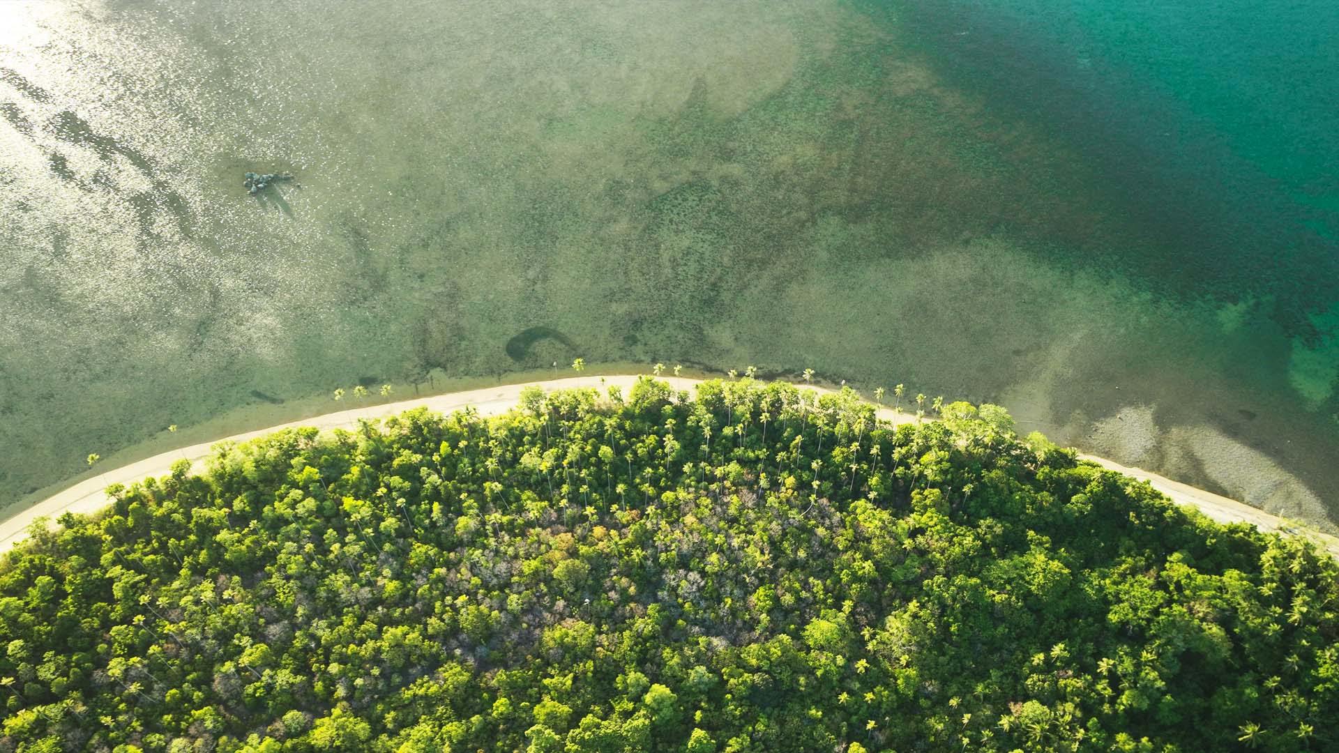 Go Places You've Never Been