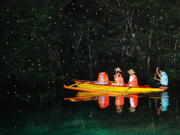 Puerto Princesa Firefly Watching Tour with Dinner